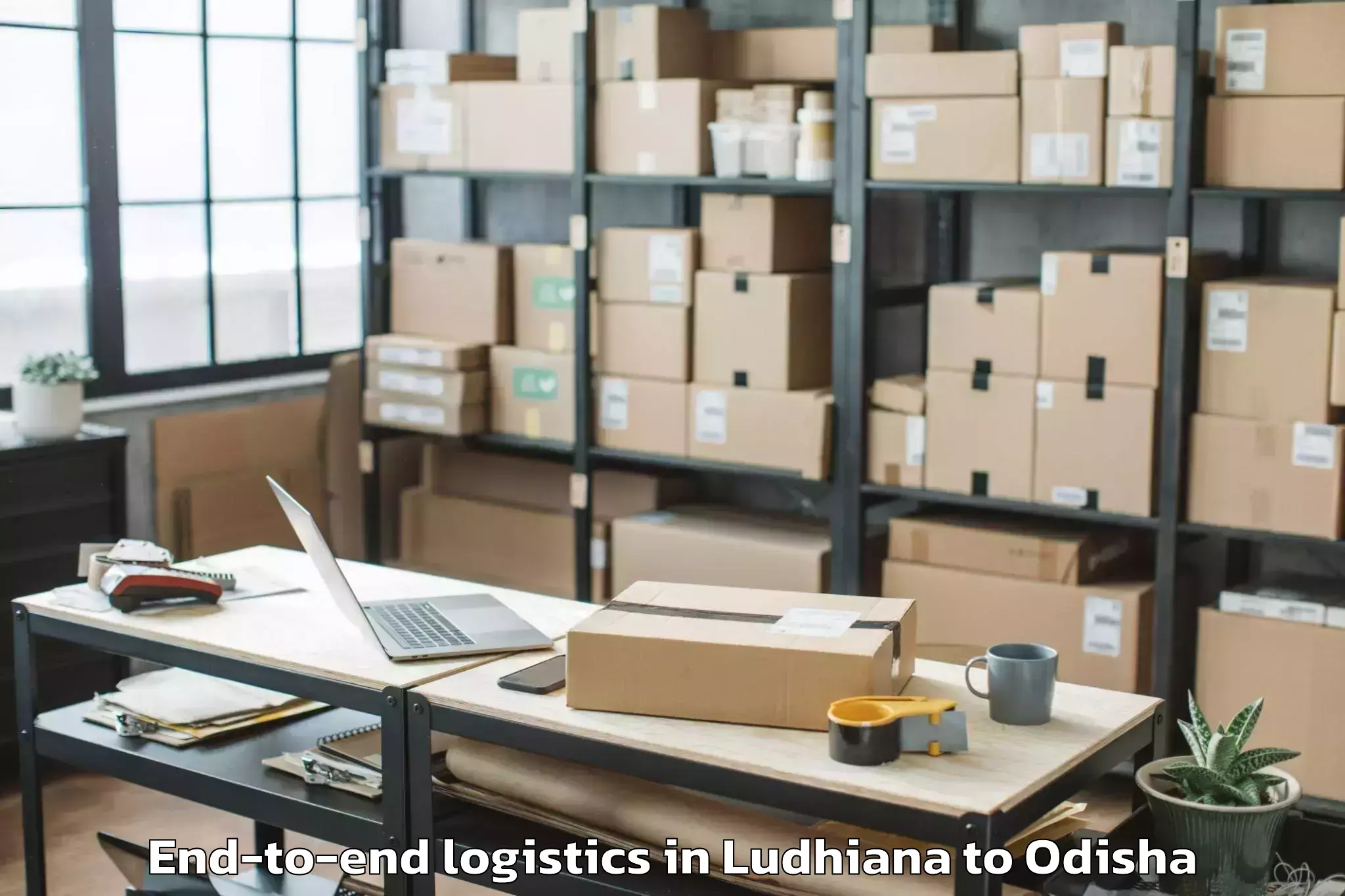 Professional Ludhiana to Udayagiri Kandhamal End To End Logistics